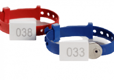 silicone-plain-group